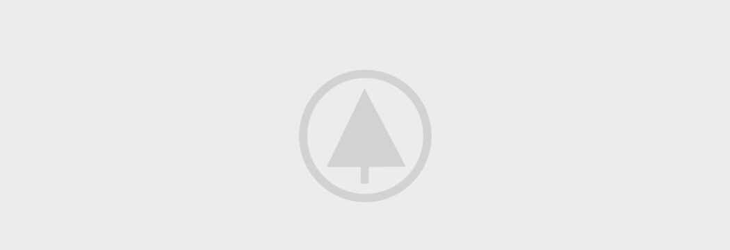 wood portfolio placeholder wood portfolio placeholder
